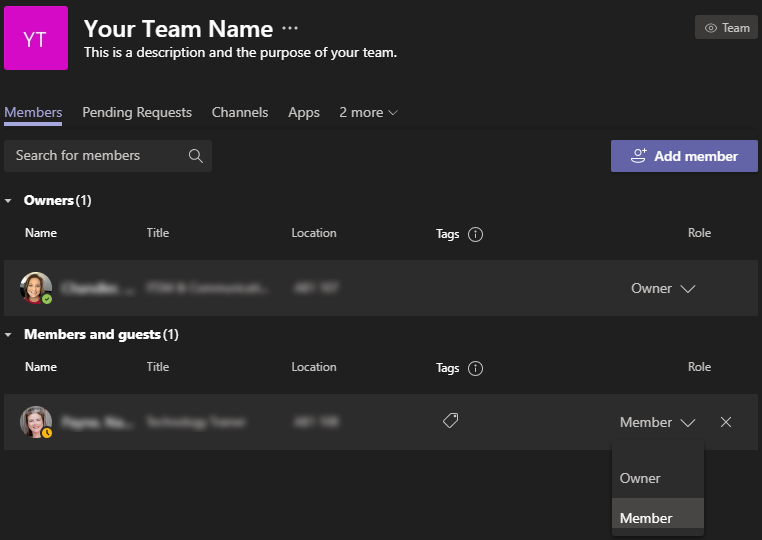 Modify Team Members screen