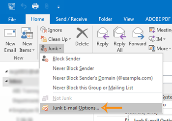 RibbonJunkMailOptions