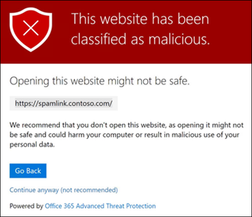 Malicious Website Warning