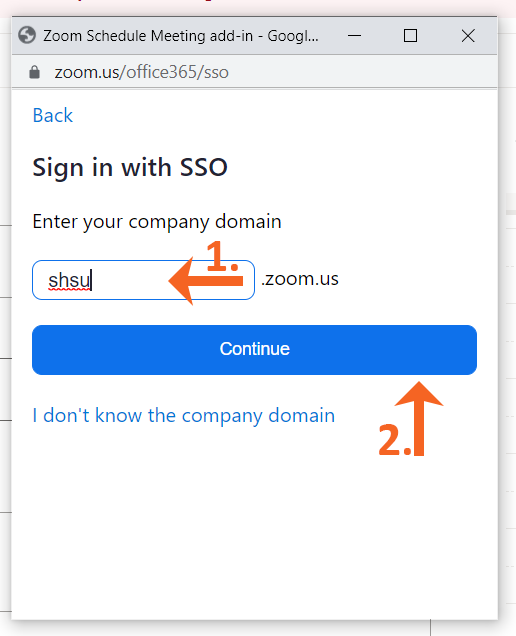 5.SSO Domain