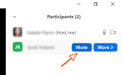 Mute Participant