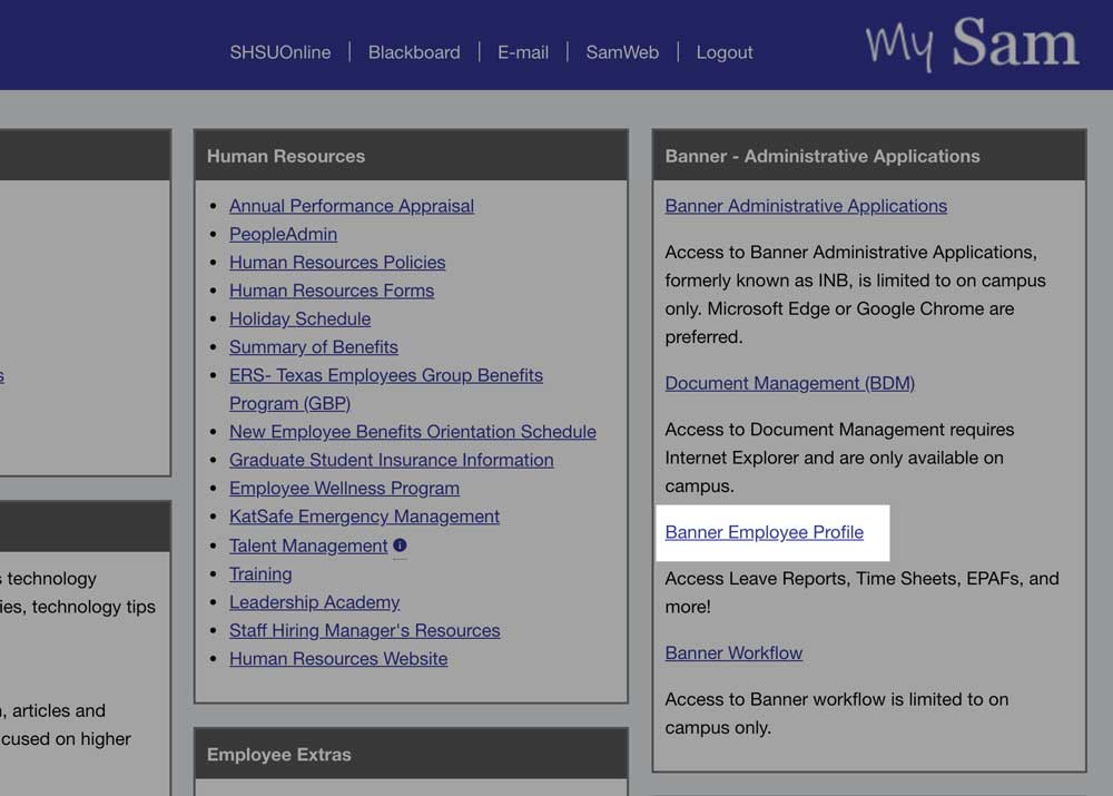 Banner Employee Profile link is located under Banner - Adminstrative Applications