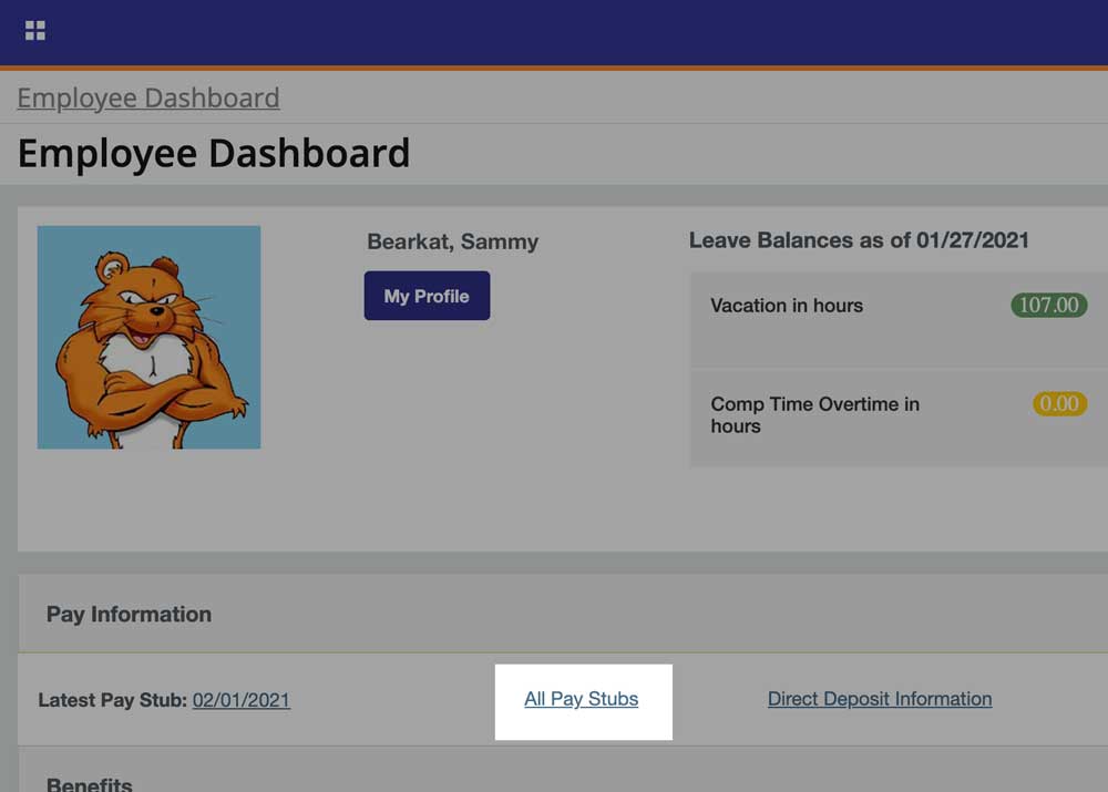 Employee Dashboard screen. All Pay Stubs is located under Pay Information accordion, second link.