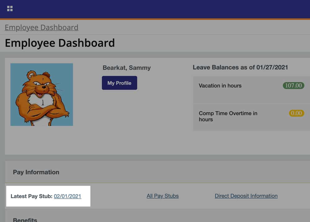Employee Dashboard screen. Lastest Pay Stub is located under Pay Information accordion.