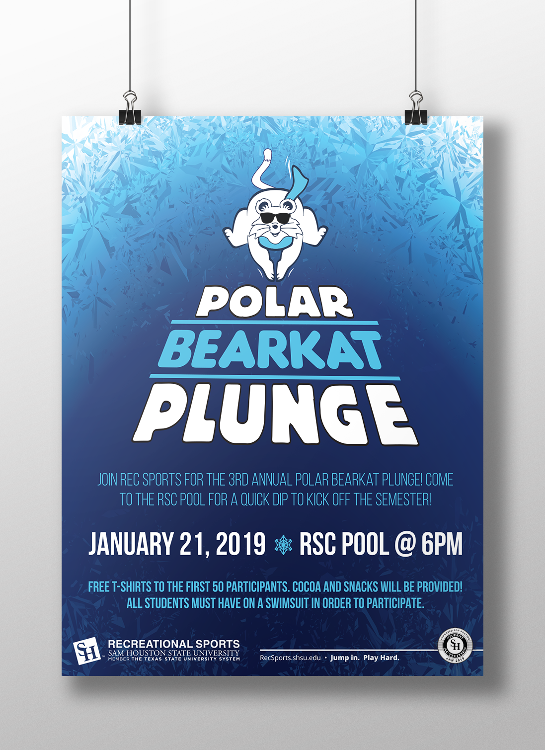 Polar bearkat Plunge Poster