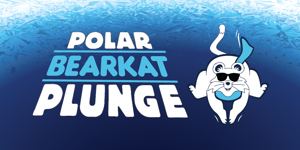 Polar bearkat Plunge twitter post