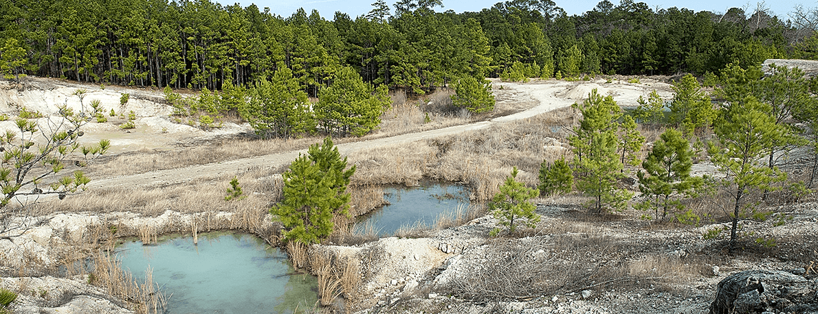 University Camp Grounds