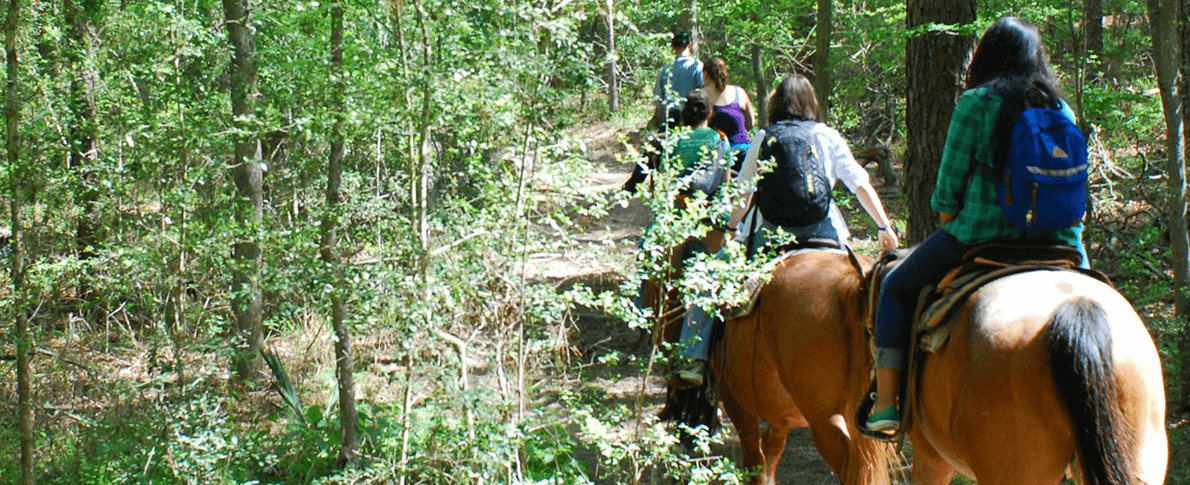 Trailriding