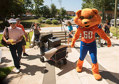 Sammy Bearkat pulling a cart full of boxes to help students move in to the dorms.