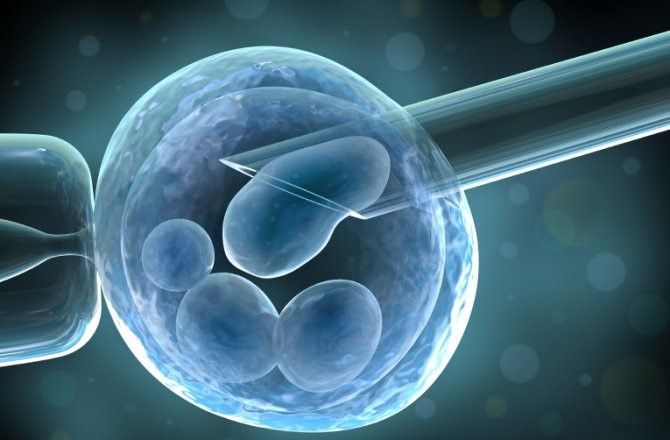 DAP - Stem Cell