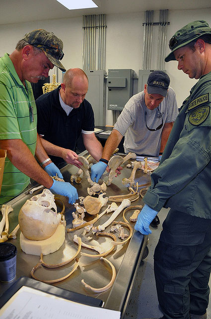 Stafs reassembling skeletons