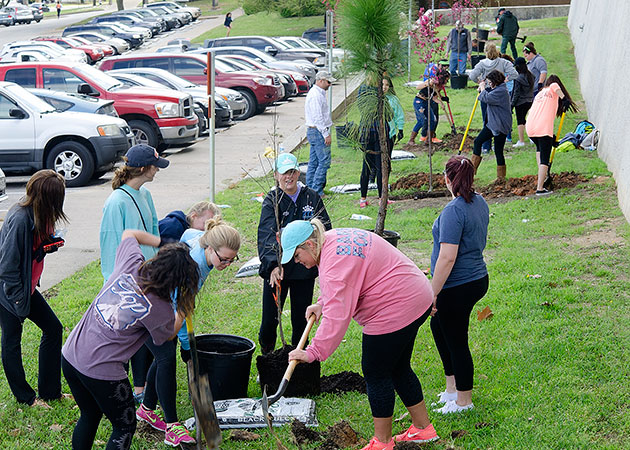 Arbor Day 2015