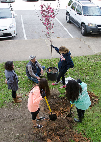 SHSU Receives Second Tree Campus USA Recognition - Sam Houston State ...