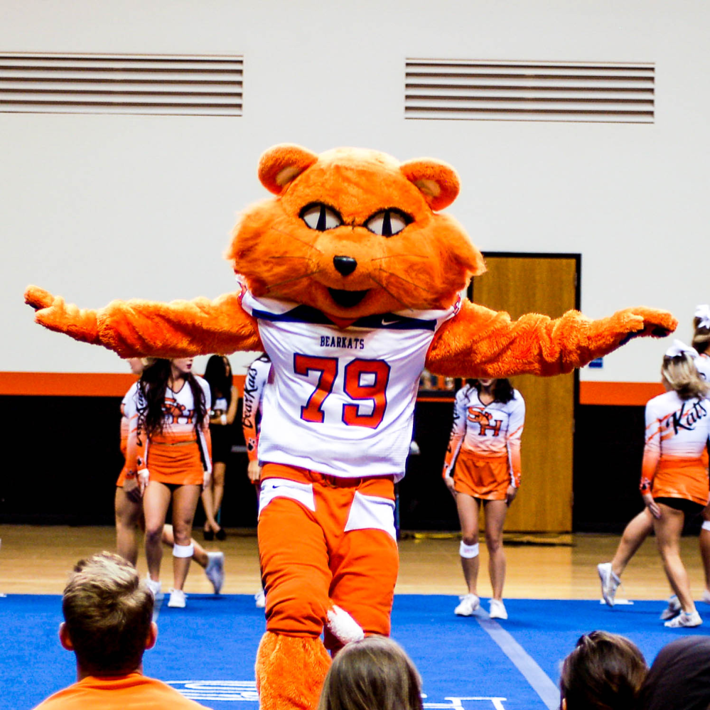 mascot