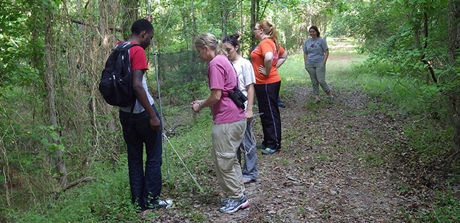 student field experiences