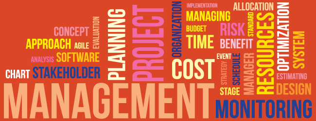 Management Related Word Cloud highlighting Project, Cost, and Resources