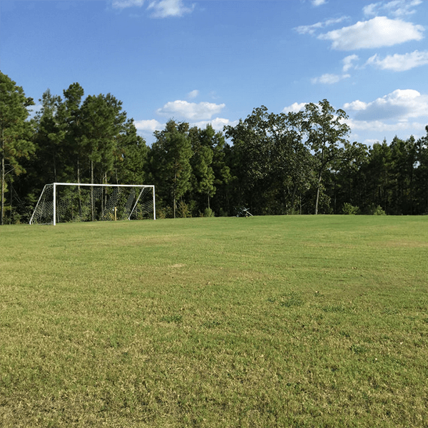 view of the recreation field with a soccer goal