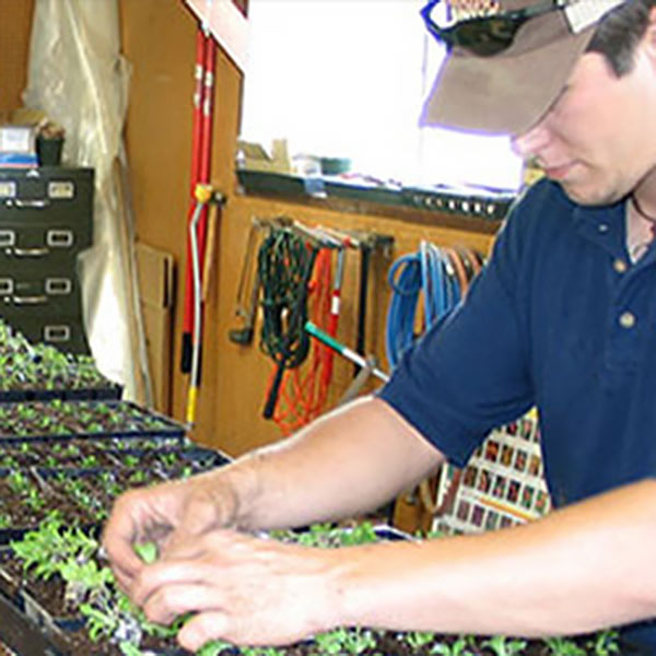 Agricultural Sciences
