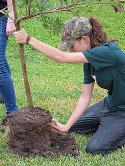 planting trees on arbor day