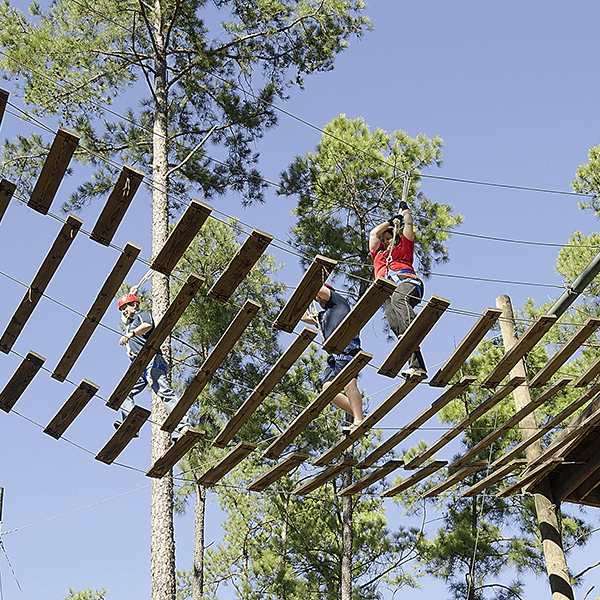 Challenge Course Obstacle