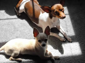 Emma & Stella