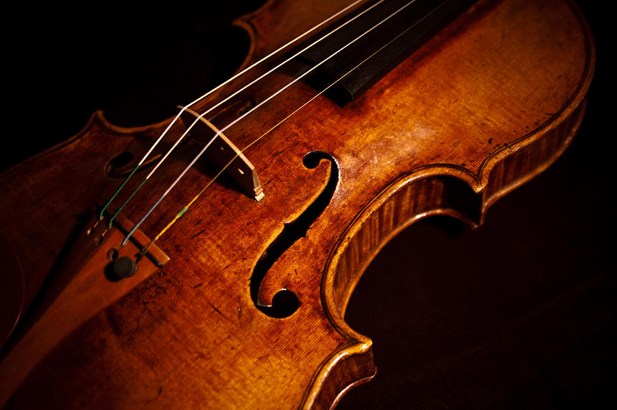 violin