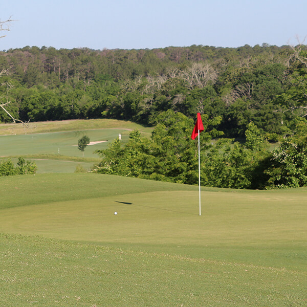 golf course green with ball near hole