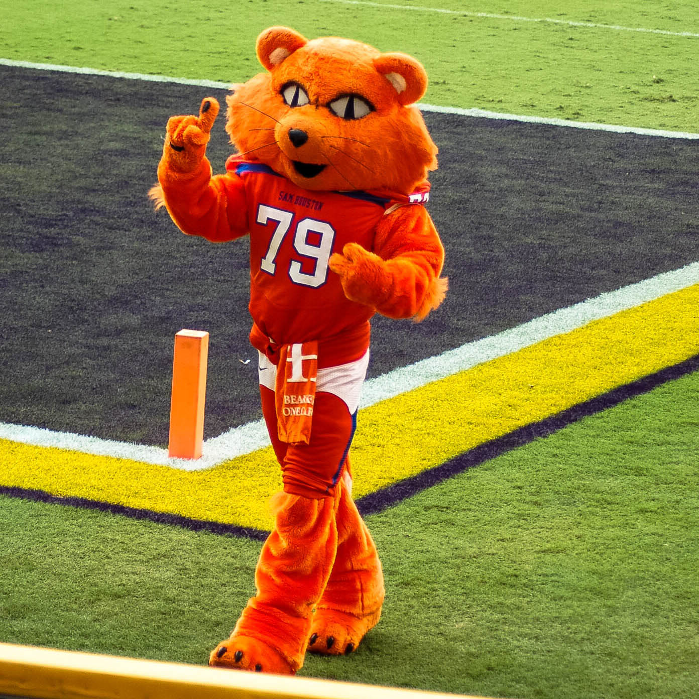 mascot