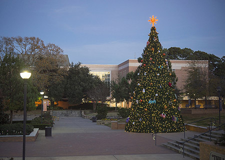 Tree of Light