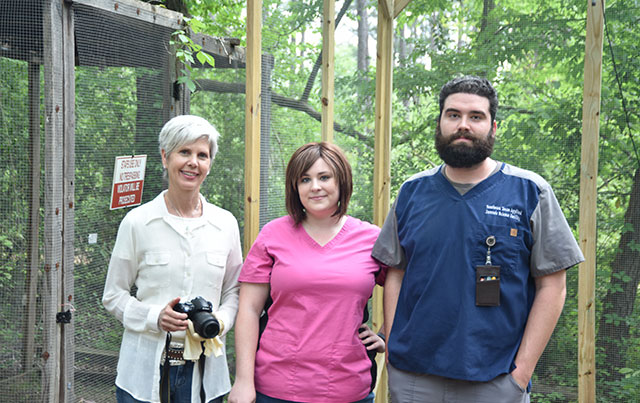 Stafs staff