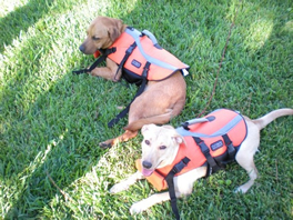 Riddle & Roxy
