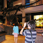 Museum Trip