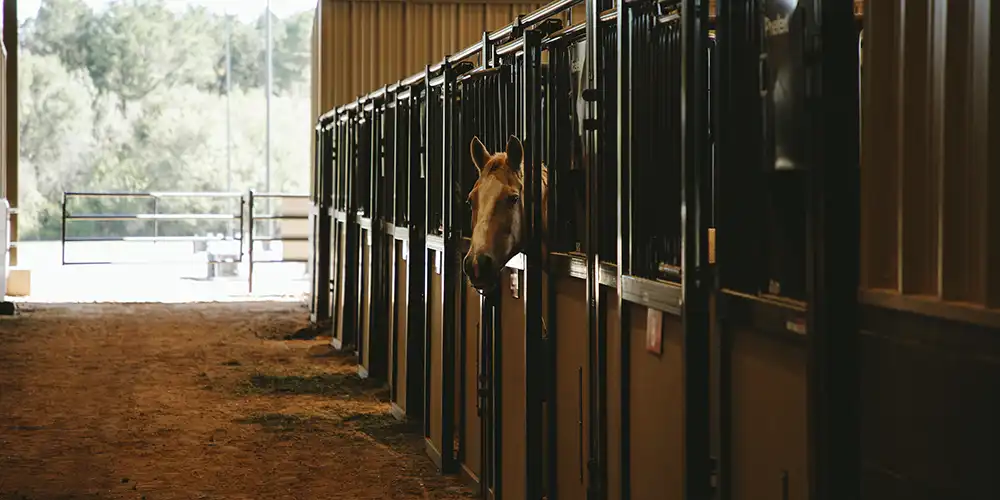 Empty indoor arena with metal bleachers on the left, dirt floor on the right, and exposed beams with hanging lights, overlaid with text ‘MEDIA GALLERY.’