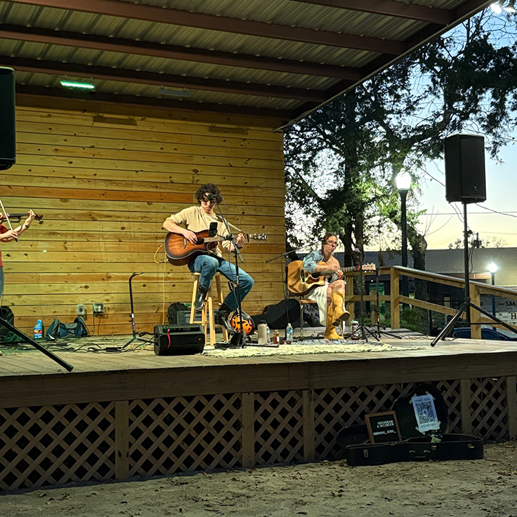 A band performs at the Walking With Giants event.