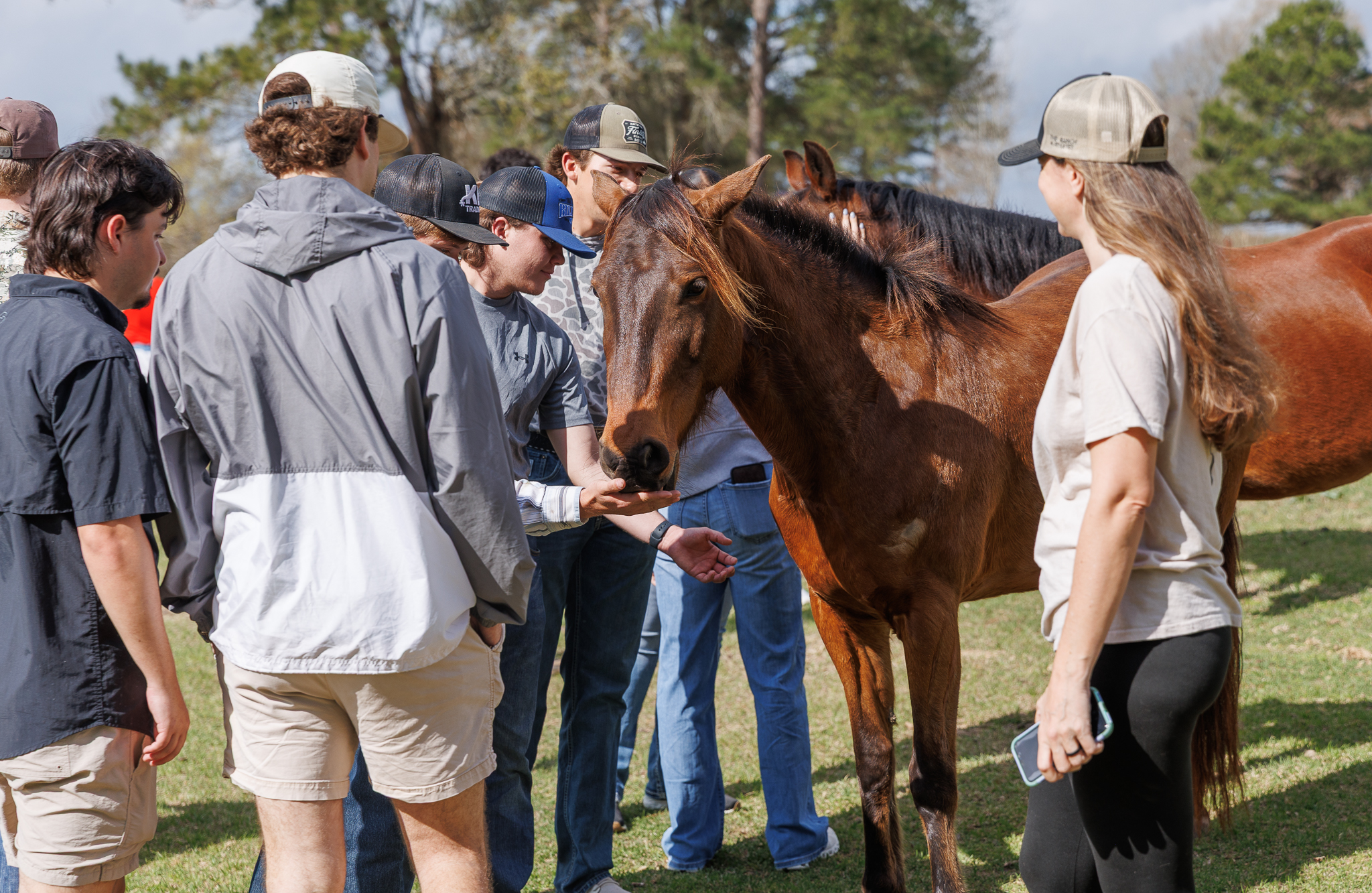 students petting a horse