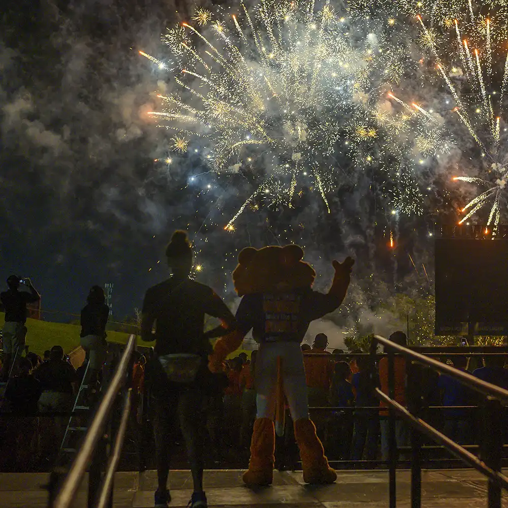 Sammy the Bearkat looking at fireworks