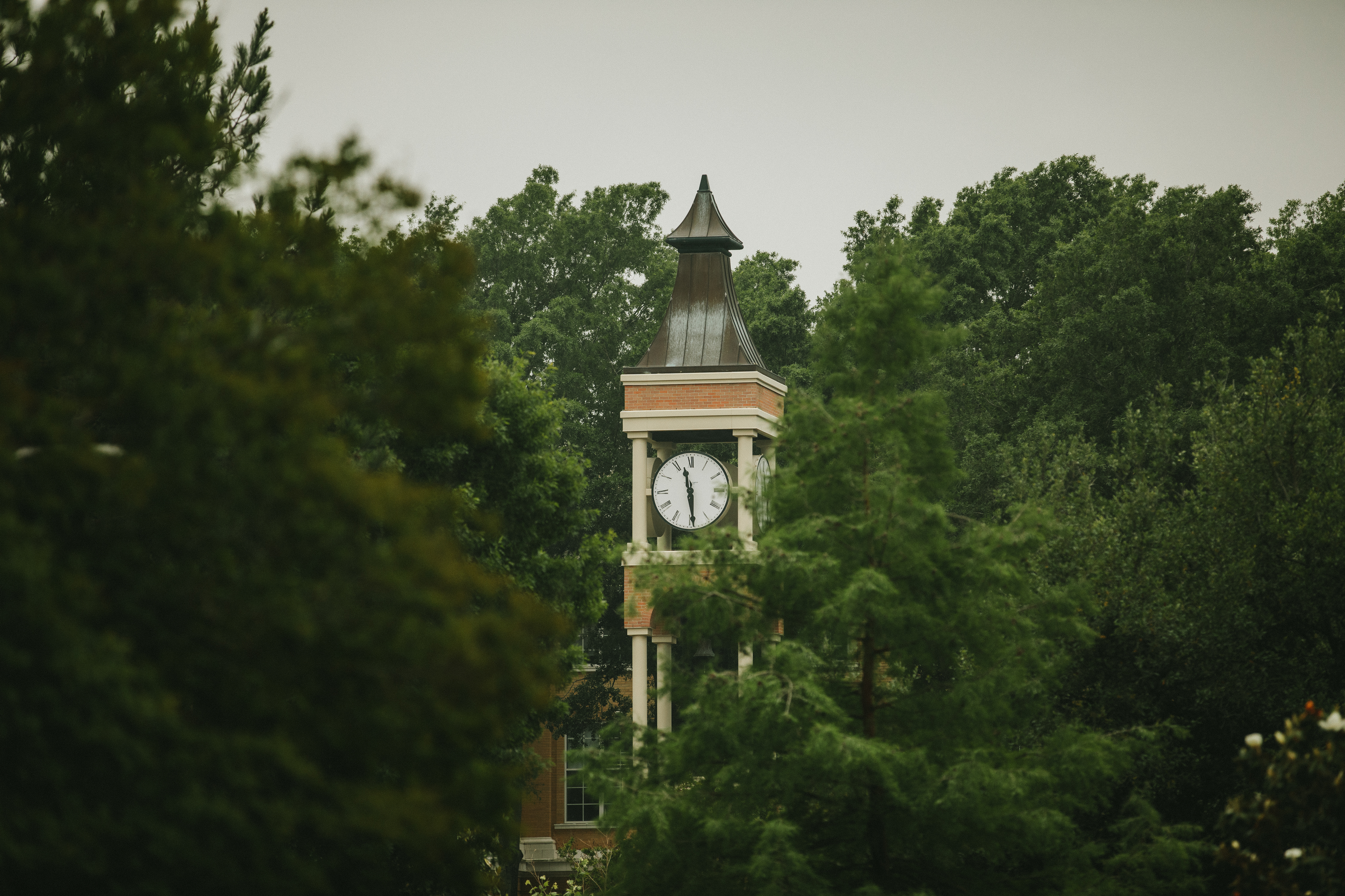 SHSU Clocktower with trees