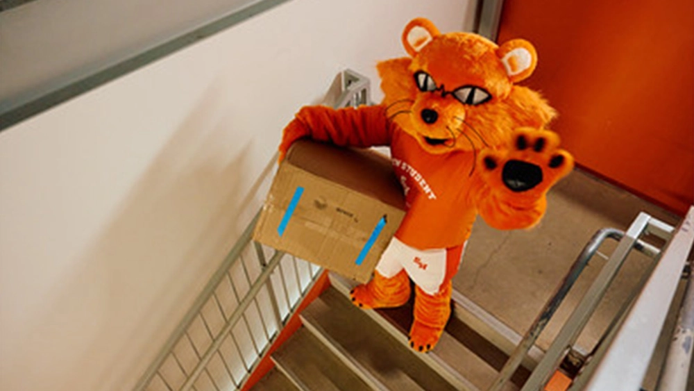 Sammy Bearkat, the Sam Houston State University mascot, stands in a stairwell holding a large cardboard box and waving with his free paw. Sammy is dressed in an orange shirt and white shorts, appearing to help with move-in. The stairwell walls and steps are neutral in color with an orange accent wall behind him.