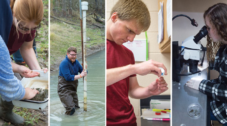A collage of biology students conducting field tests and laboratory research.