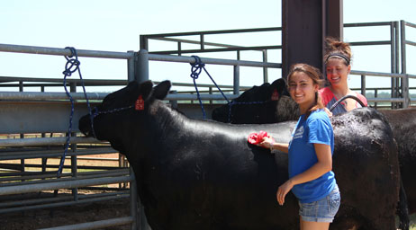 Two women are caring for livestock in a ranch environment.