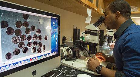 A student is examining cells under a microscope hooked up to a computer monitor in a laboratory