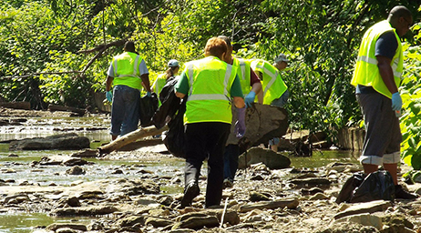 people cleaning up a river