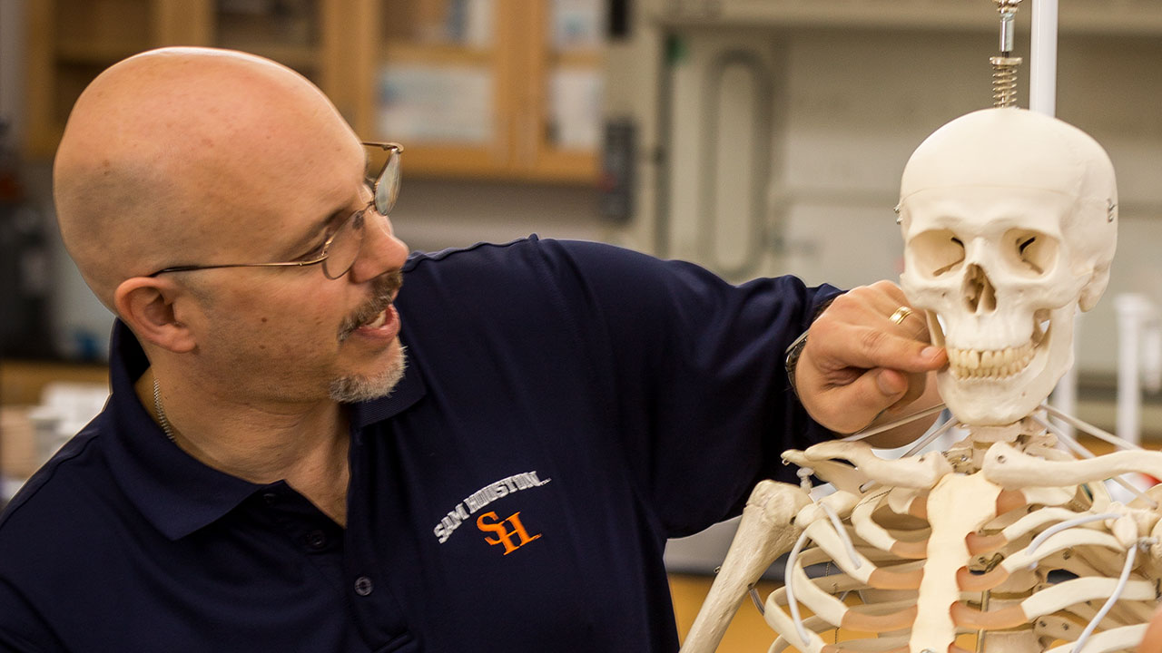 An instructor pointing out parts of a human skeleton.