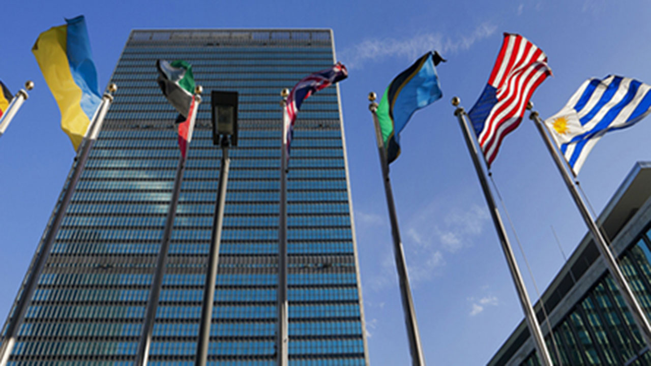 Flags of different countries on flagpoles.