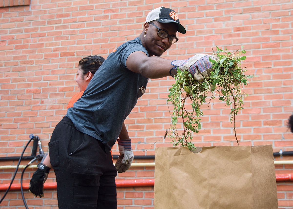 Student wearing gardening gloves with a handful of lawn weeds being placed into a brown paper bag.