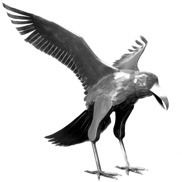 Raven-600x600