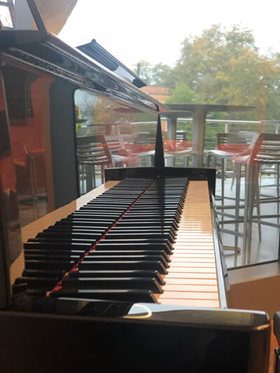 PianoView