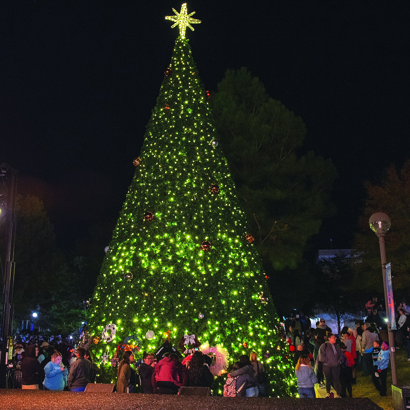 Tree of Light with Crowd Surrounding