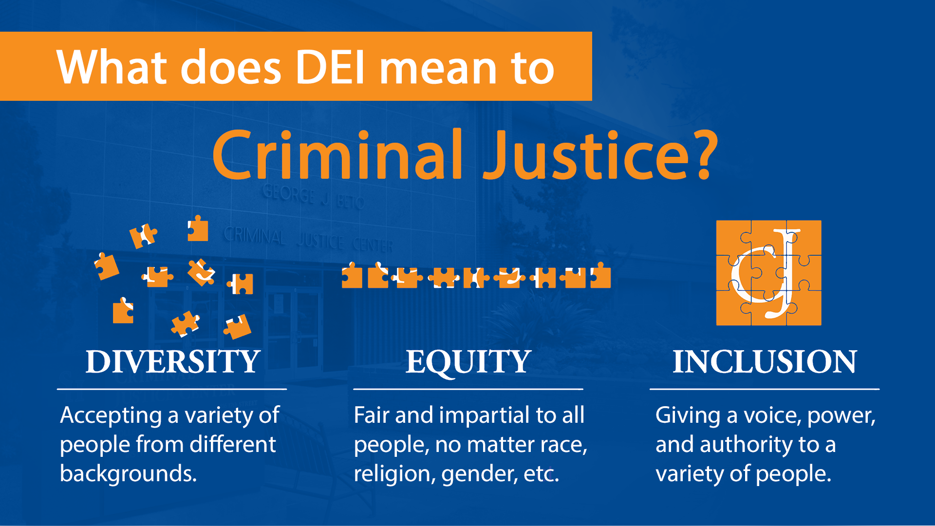 define-DEI